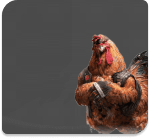 cockfight-banner.75652b7